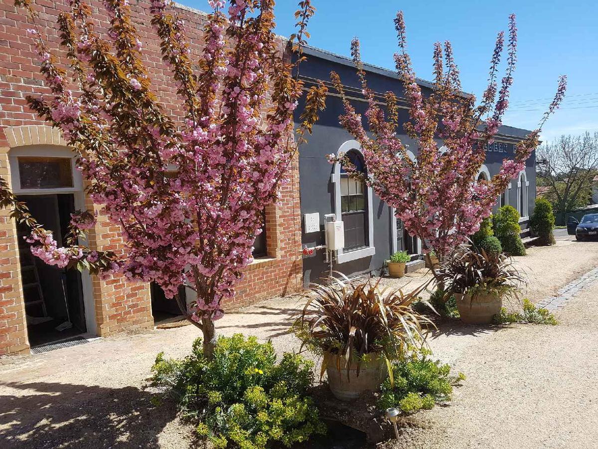 Albert Hotel Daylesford Exterior foto